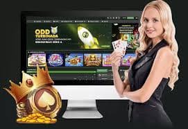 betboom app